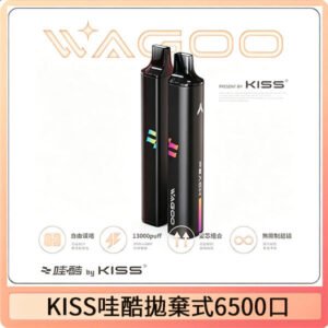 KIS5WAGOO哇酷6500口拋棄式 | 自由混搭雙口味 | 雙芯組合