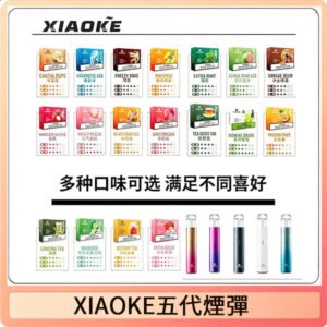 XIAOKE梟客五代煙彈 可替換式電子煙適配ILIA五代Relx六代
